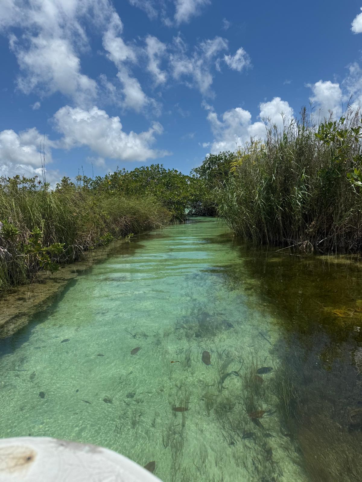Crystal clear cenote lagoon in Tulum
